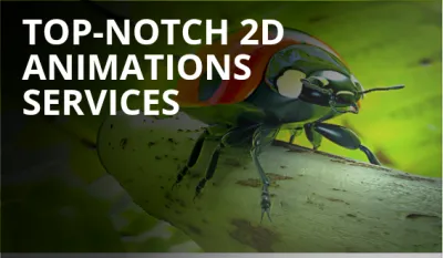 I will provide top-notch 2d animations services